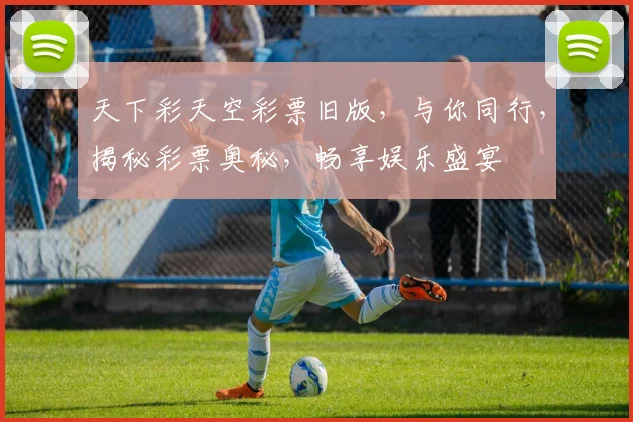 天下彩天空彩票旧版，与你同行，揭秘彩票奥秘，畅享娱乐盛宴