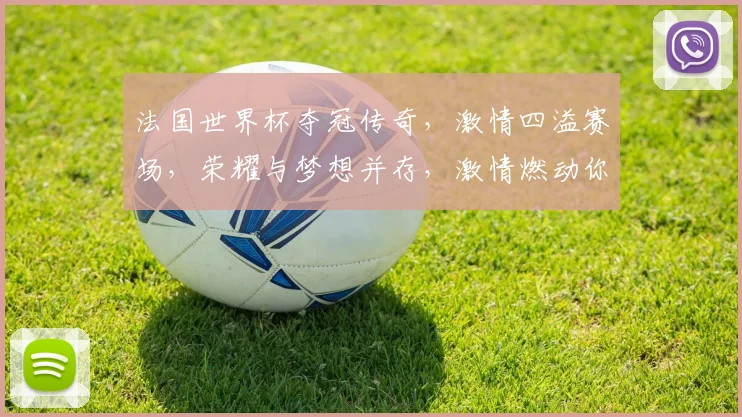 法国世界杯夺冠传奇，激情四溢赛场，荣耀与梦想并存，激情燃动你我